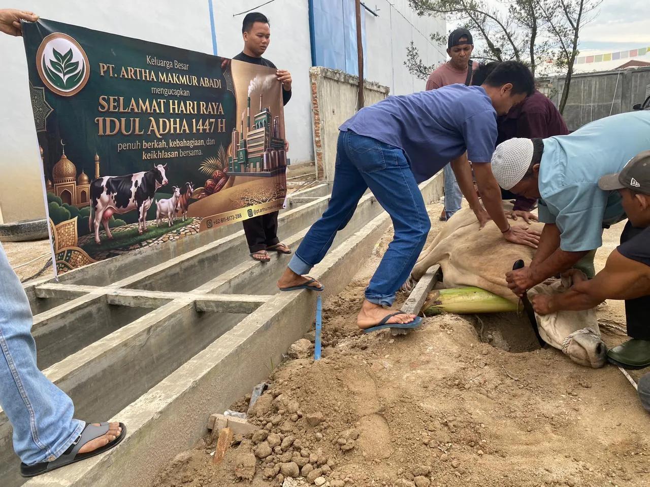 PT AMA Laksanakan Qurban Idul Adha 1447 H Bersama Keluarga Besar Perusahaan